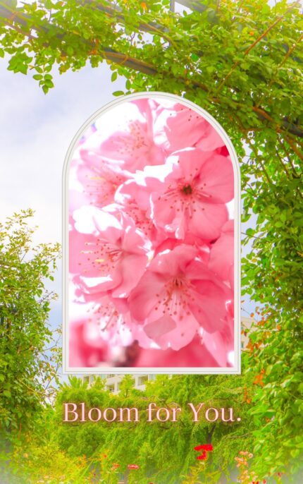 Bloom for You.